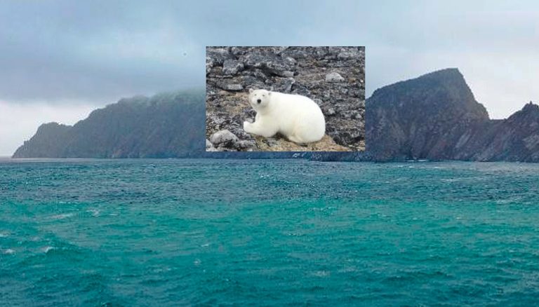 Using a drone in the Arctic