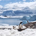 The discovery of the continent of Antarctica