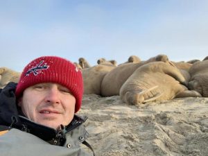 Alexander Sokolov and walruses