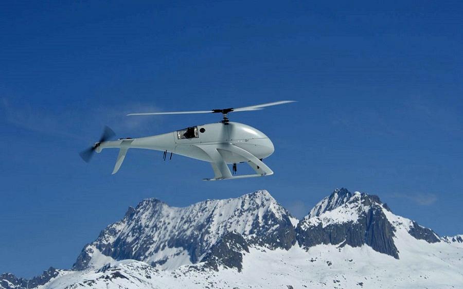 UAVs in the polar regions