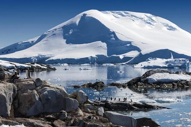 Amazing facts about Antarctica