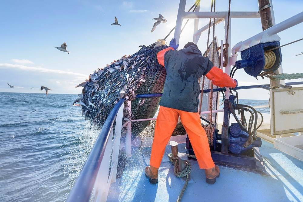 The Arctic as a source of aquatic biological resources