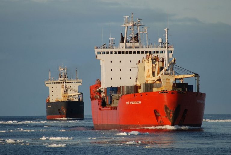 Sea vessels on the Northern Sea Route