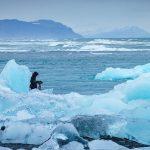 Some recent discoveries in the Arctic and Antarctic