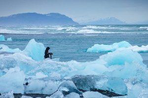 Some recent discoveries in the Arctic and Antarctic