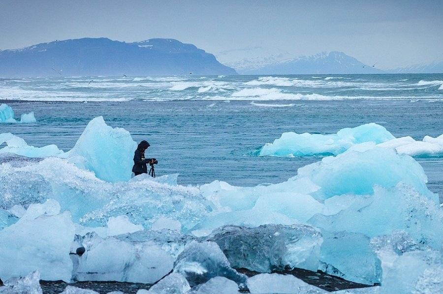 Some recent discoveries in the Arctic and Antarctic