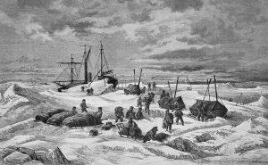 Early Arctic Pioneers